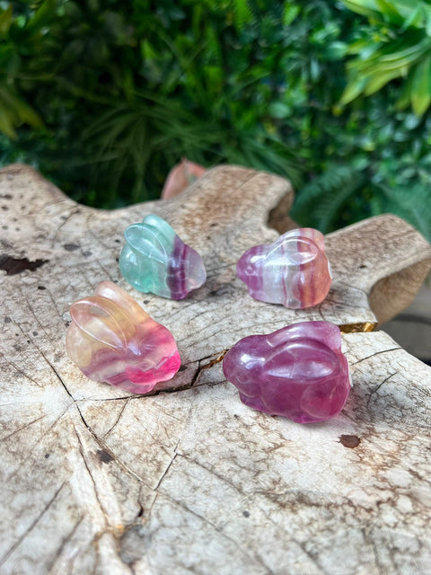 Fluorite Bunny rabbit