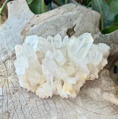 Clear Quartz Cluster