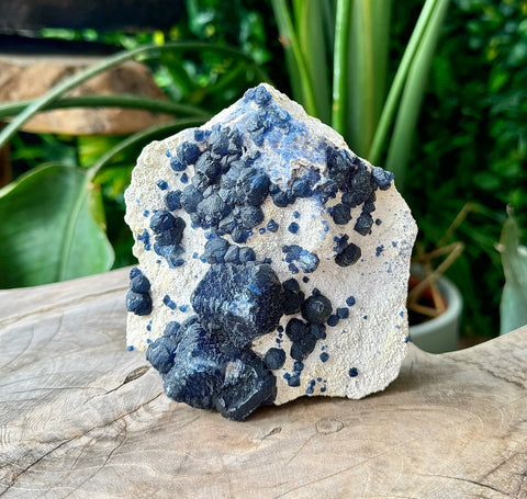 Blueberry Fluorite
