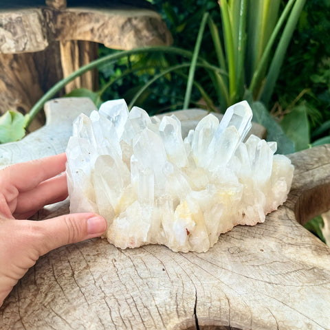 Clear Quartz Cluster