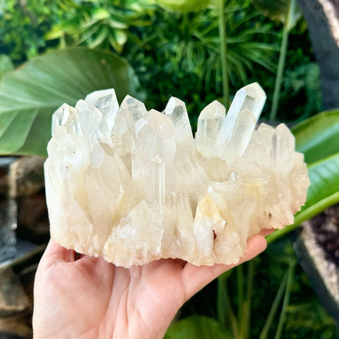 Clear Quartz Cluster