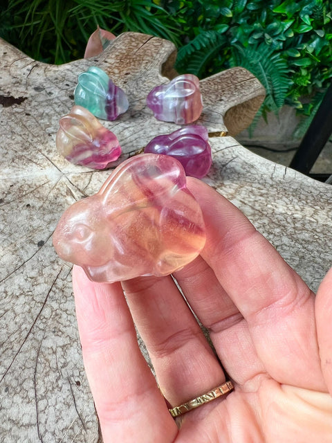 Fluorite Bunny rabbit