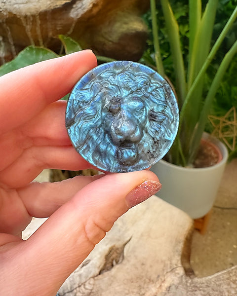 Labradorite Lion Carving