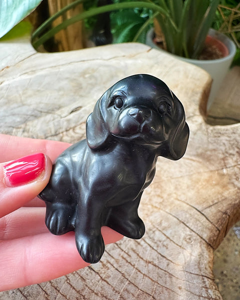 Obsidian Dog