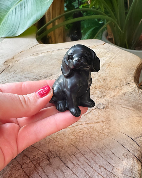 Obsidian Dog