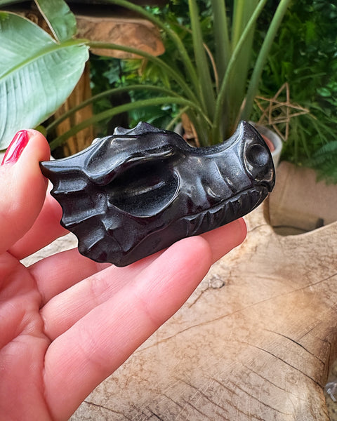Obsidian Dragon Head