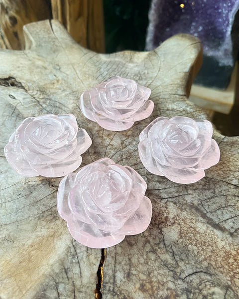 Rose Quartz Rose