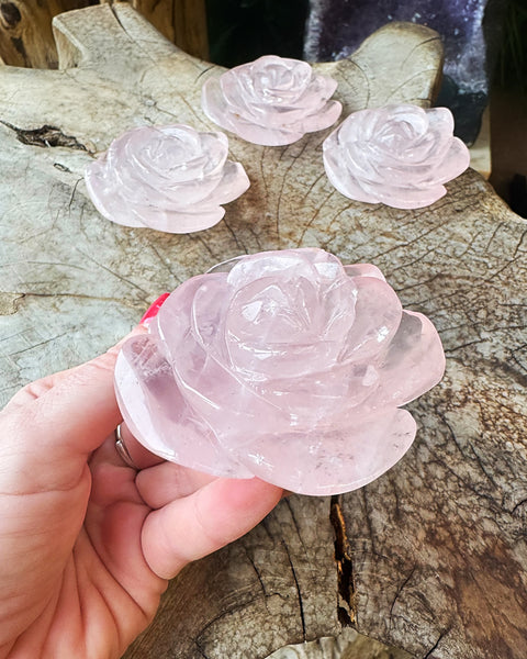 Rose Quartz Rose