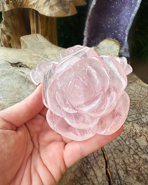 Rose Quartz Rose
