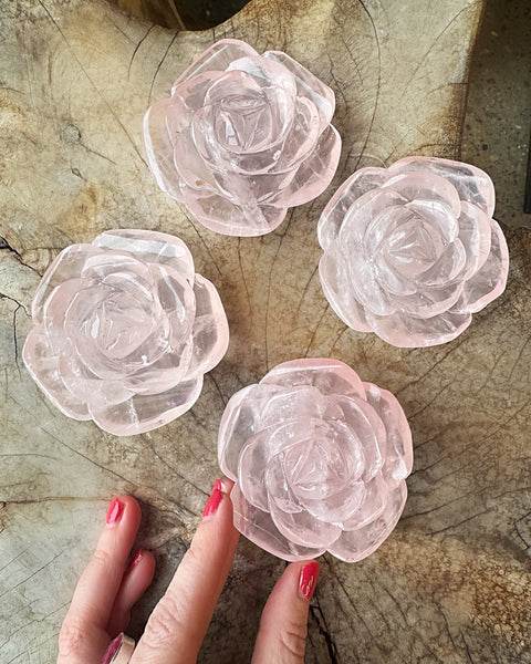 Rose Quartz Rose