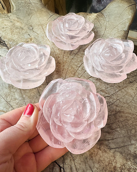 Rose Quartz Rose