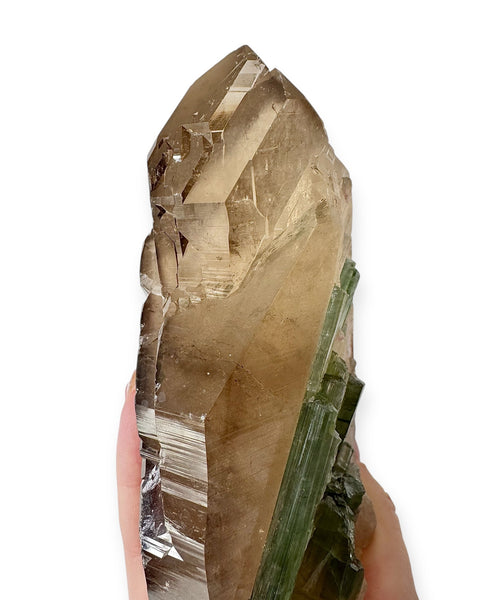 Elestial citrine & watermelon tourmaline