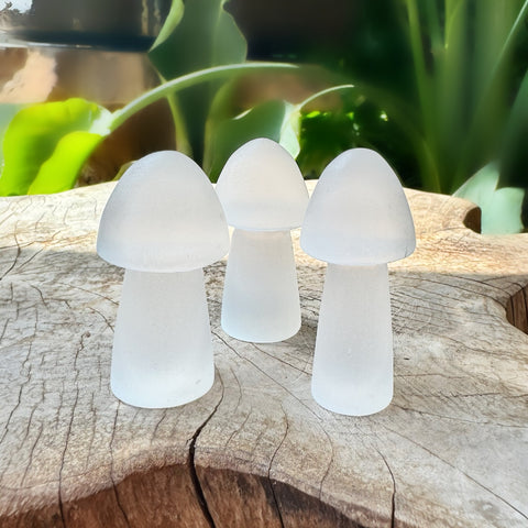 Selenite Mushroom