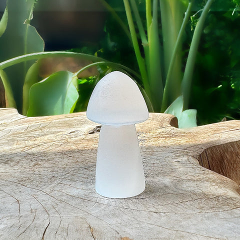 Selenite Mushroom