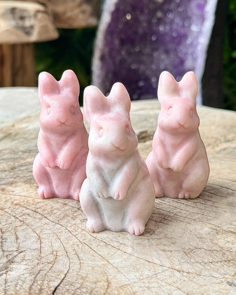 Pink opal bunny rabbit