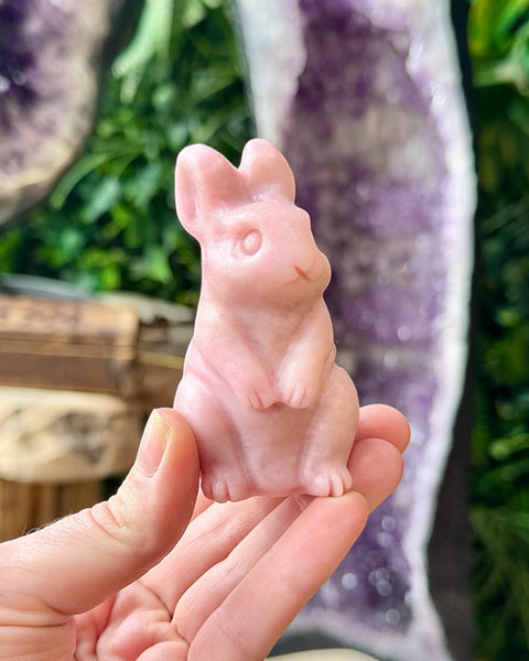 Pink opal bunny rabbit