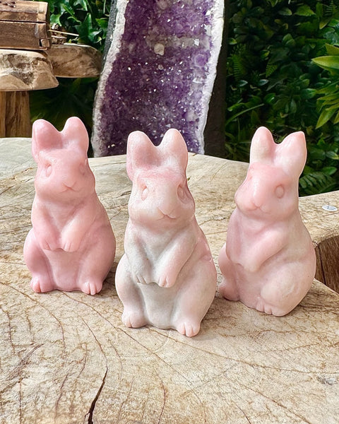 Pink opal bunny rabbit