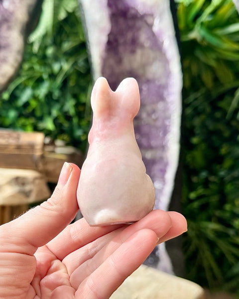 Pink opal bunny rabbit