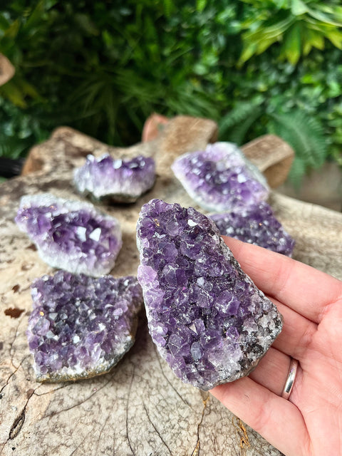 Amethyst Cluster