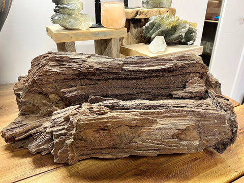 Permineralised wood