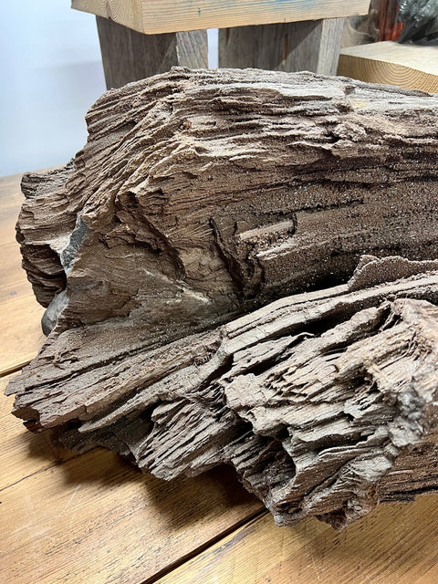 Permineralised wood