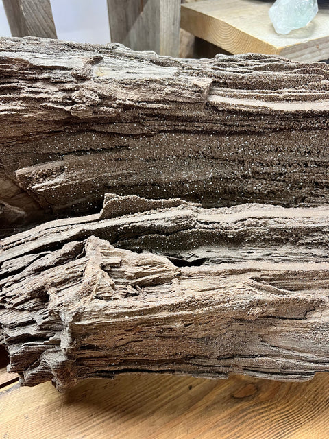 Permineralised wood