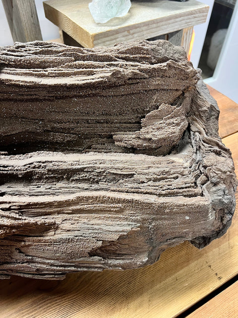 Permineralised wood