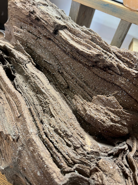 Permineralised wood