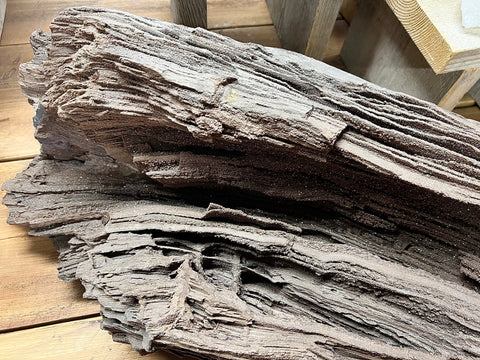 Permineralised wood
