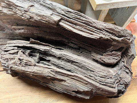 Permineralised wood