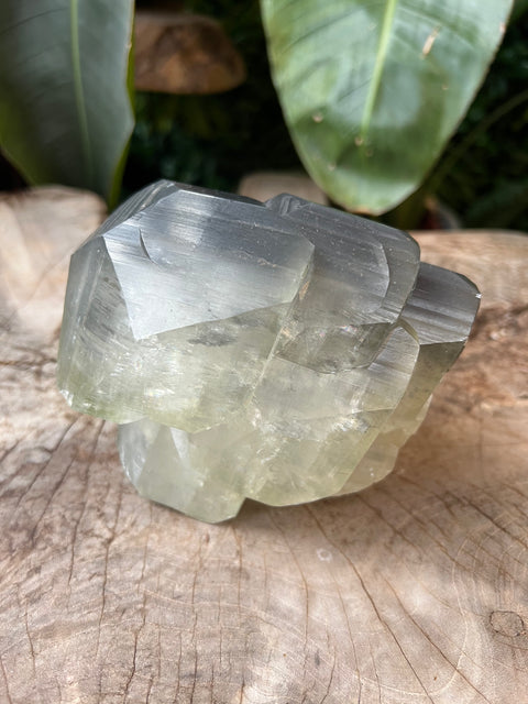 Dragon Scale Calcite
