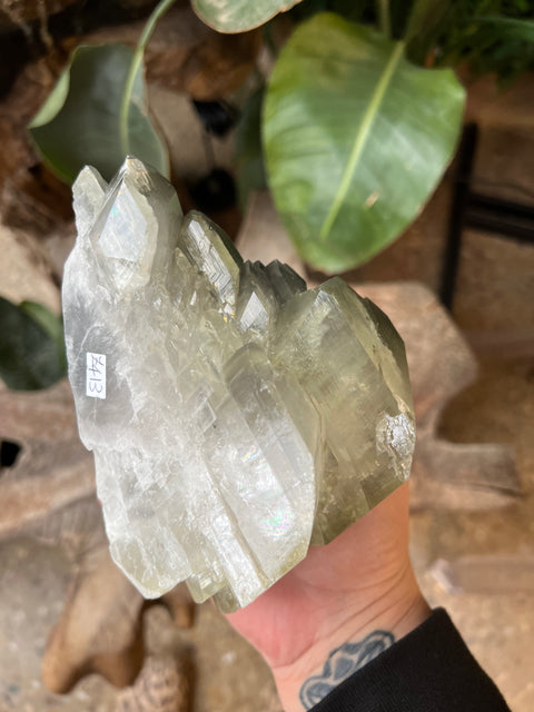 Dragon Scale Calcite