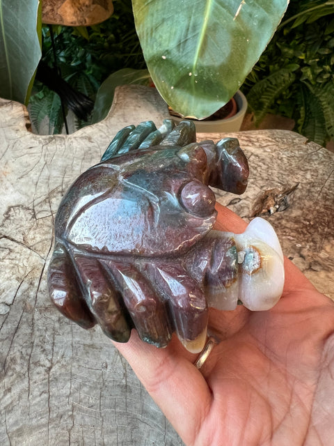 Ocean Jasper crab