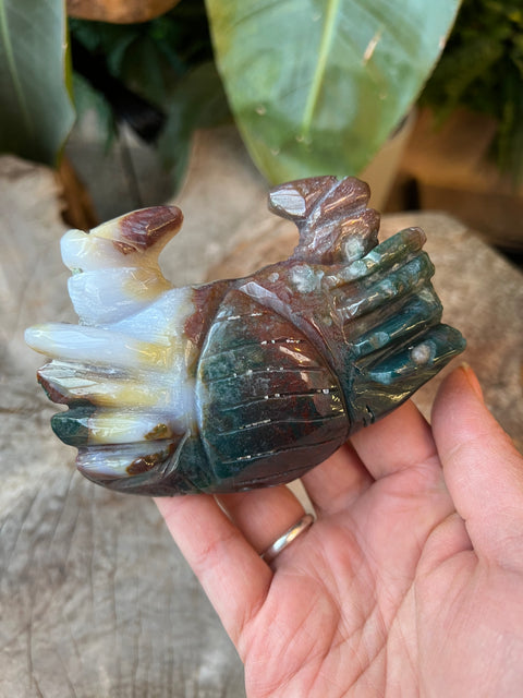 Ocean Jasper crab