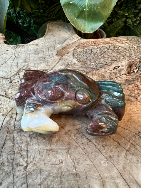 Ocean Jasper crab