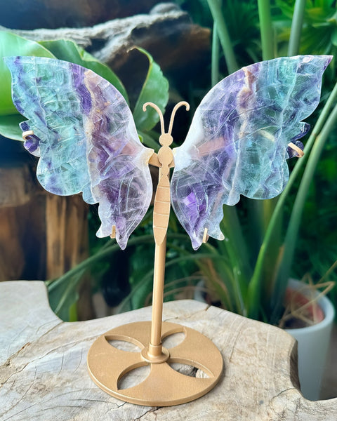 Fluorite Butterfly - (J)