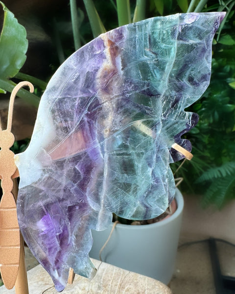 Fluorite Butterfly - (J)