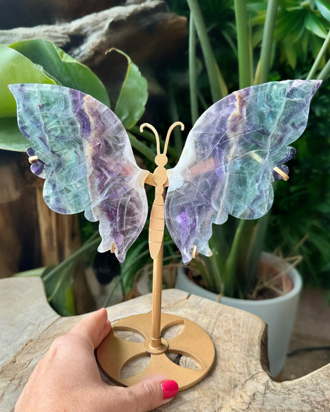 Fluorite Butterfly - (J)