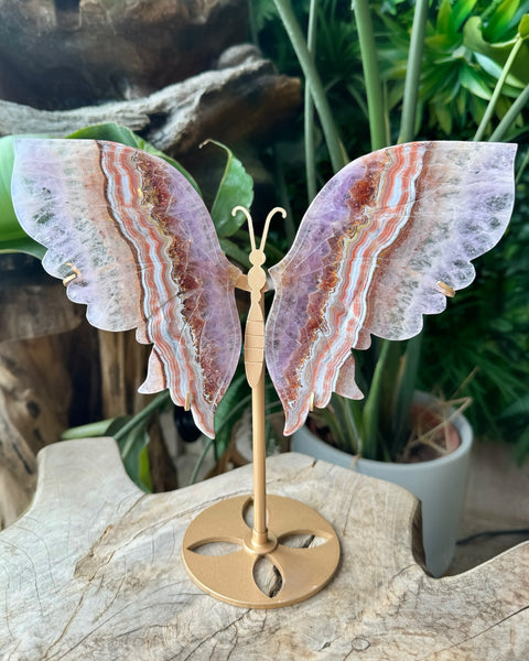 Amethyst & Agate Butterfly - (O)