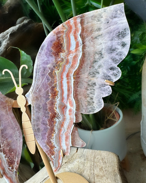 Amethyst & Agate Butterfly - (O)