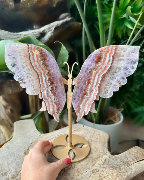 Amethyst & Agate Butterfly - (O)