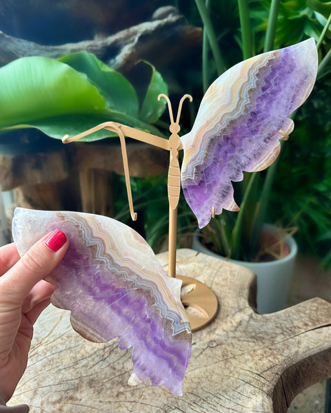 Fluorite Butterfly - (J)