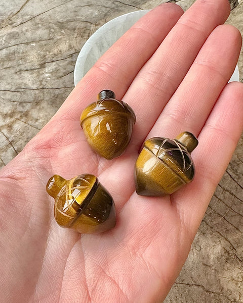 Acorns