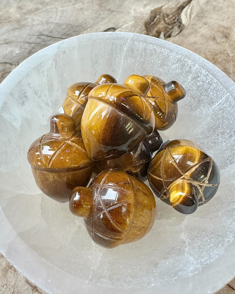 Acorns