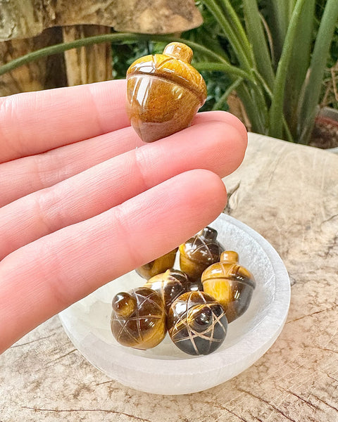 Acorns