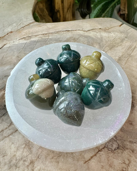 Acorns