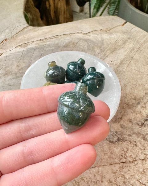 Acorns