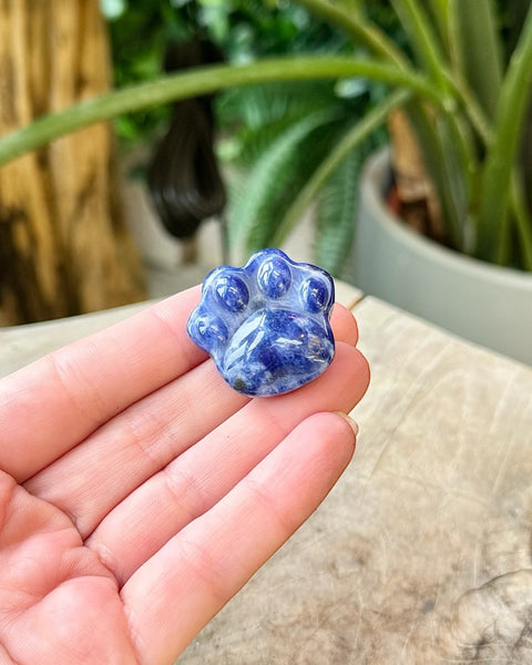 Paw Carving
