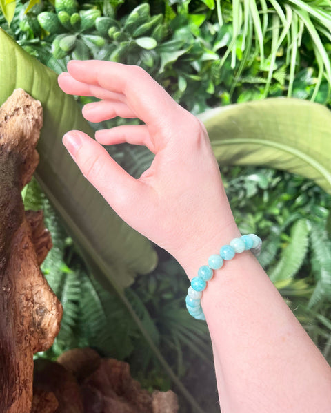 Amazonite Beaded Bracelet