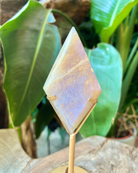 Moonstone - on stand